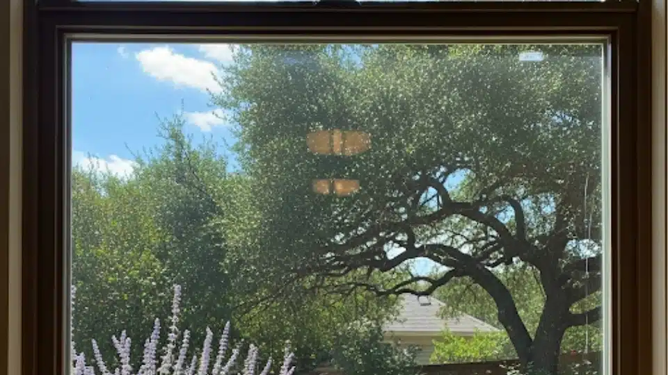 Crystal clear window after expert seal repair in Dallas TX